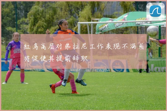 红鸟高层对弗拉尼工作表现不满或将促使其提前辞职