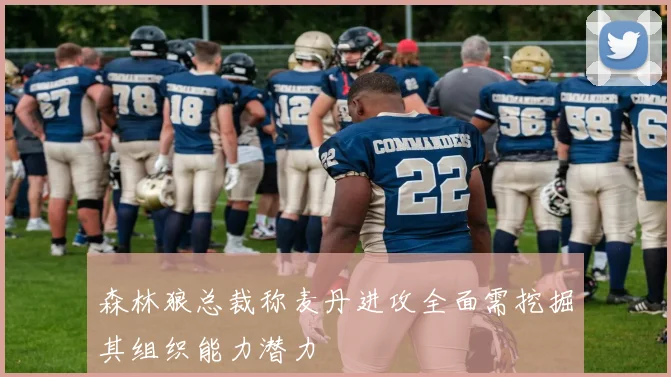 森林狼总裁称麦丹进攻全面需挖掘其组织能力潜力
